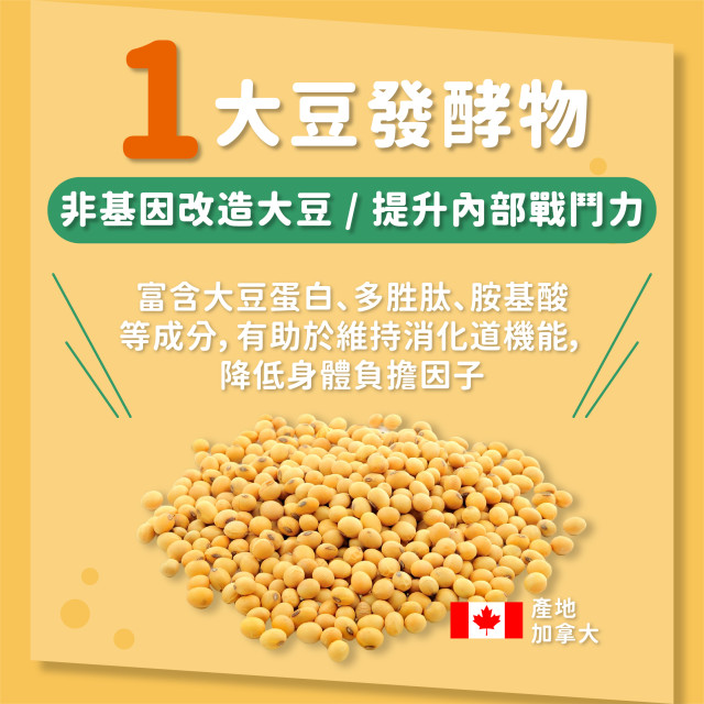 維持消化道機能🚨保您衛🚨-元綠生技